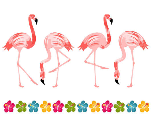 BUY 10 GET 5 FREE, Coupon Code - 5FREE Flamingo Birds Set, Hibiscus Border, Vector Illustrations, Personal Use, Commercial Use